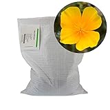 California Poppy Flower Seeds -5 Lb Bulk - Wildflower Garden Seeds - Eschscholtzia californica by...