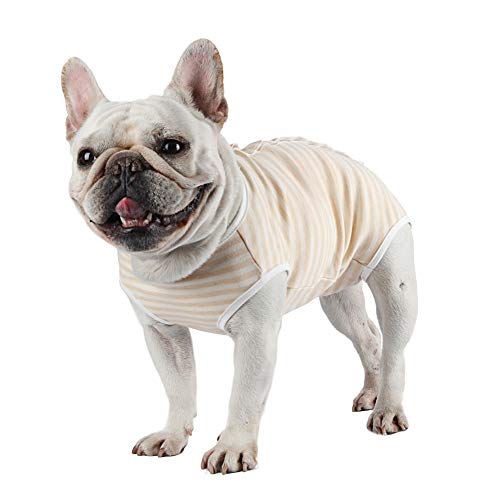 Due Felice Dog Diapers Sanitary Panties Doggy Period Onesie Bodysuits Pet Recovery Suit After Surgery Wear for Male and Female Dogs Yellow Stripe/Medium, M(Back girth:11.0 inch,Chest girth:16.5 inch)