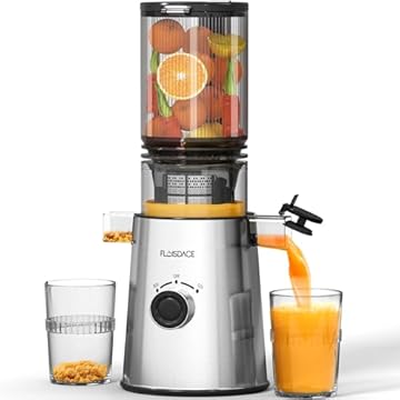 inexpensive cold press juicer