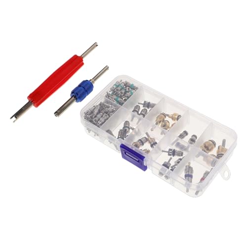 IMIKEYA Kit 102 Piezas para Válvulas de Aire Automotor