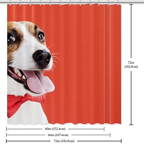 Rideau de douche chien mignon 183x183 textile lavable - 7