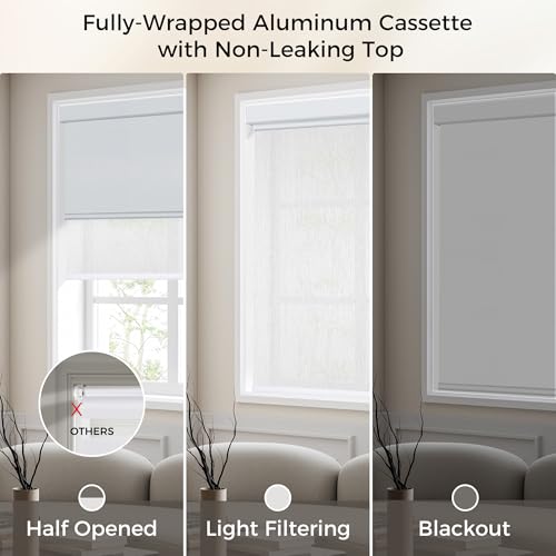 Allesin Zen Cordless Dual Roller Shades with Square Cassette, Double Layer Window Shades, Blackout and Light Filtering, Day and Night Blinds for Home Office Door, White and White, 35" W X 72" H