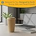 ECO SOUL 100 Pack 16 oz Disposable Coffee Cups with Lids Eco-Friendly, Biodegradable, Compostable, Leak-free & Sturdy To Go Hot Drink Cup for Tea, Chocolate Party Travel Cafe Office & Home 9