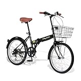 Raychell(レイチェル) 20インチ 折りたたみ 自転車 FB-206R シマノ6段変速 フロントLEDライト付 [メーカー保証1年] ブラック
