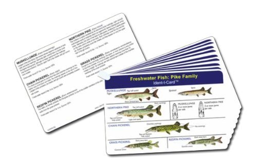 Fish Set of 9 Freshwater Fish Identification Cards