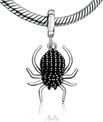 Bolenvi Genuine 925 Sterling Silver Charms for Mother's Day, Compatible with Pandora & Similar Charm Bracelets, Necklaces & DIY Jewelry - Main Image