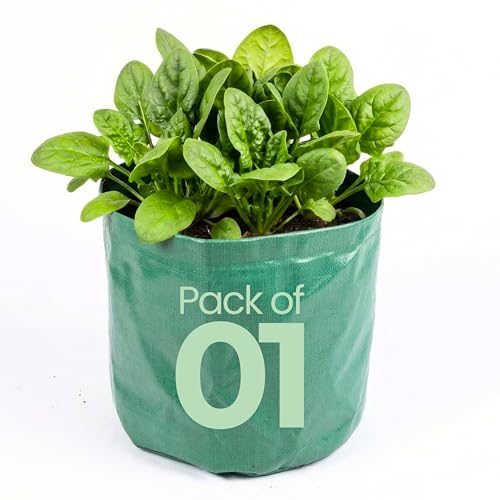Image of Bio Blooms Round HDPE Plant Grow Bag for Terrace & Kitchen Gardening | Pack of 1 | 24x12 | 340 GSM Heavy Duty Outdoor Grow Bag | Durable Planter for Vegetables, Flowers & Plants | Olive Green