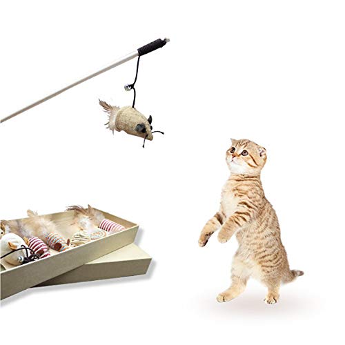 Cat Toy Achat Vente De Cat Pas Cher