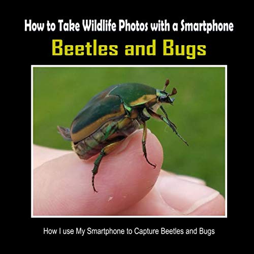 Beetles and Bugs: How I Use My Smartphone to Capture Beetles and Bugs (How to Take Wildlife Photos with a Smartphone)