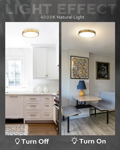 Image of Ken & Ricky 12 inch Modern Flush Mount Ceiling Light,Brush Gold,1 Pack