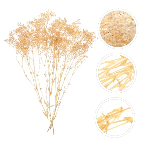 Ramo de flores secas Babys Breath para decoración miniatura 4