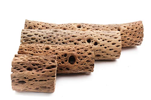 Image of 3, 6, 9, 12 Inch All Natural Teddy Bear Cholla Wood Extra Hollow Untreated Organic Aquarium Driftwood Decoration Chew Toy Shrimp Crab Cichlid Nano Tank Birds 1 or 5 Pieces (1 Piece, 12 inch)