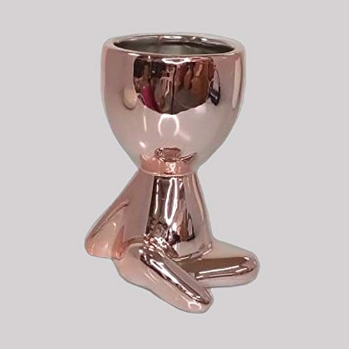Vaso Para Planta Robert Plant Sentado Mãos No Chão Rose Gold