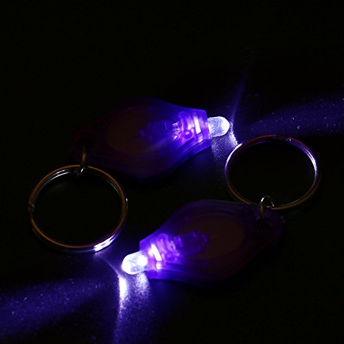10 Packs Uv Mini Keychain Led Flashlight Torch Light Lamp, Blacklight Key Ring Light Torch, Black Light Uv Flashlight Uv Light, Ultraviolet Urine Detector For Dog,Batteries Included #TOP1