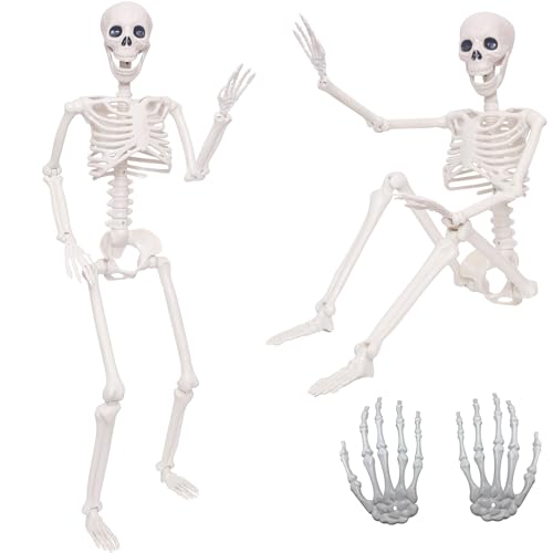 2 Pack 36Halloween Skeleton with 1 Pair Realistic Plastic Skeleton Hands Life Size Human Skeleton with Full Body Posable Joints for Halloween Decor Yard Patio Lawn Garden Spooky Party Decoration