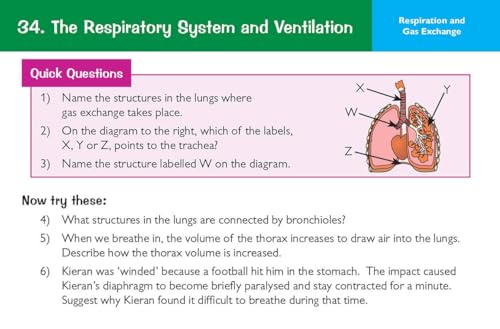 New Grade 9-1 Edexcel International GCSE Biology: Revision Question Cards (CGP IGCSE 9-1 Revision) - Image 11