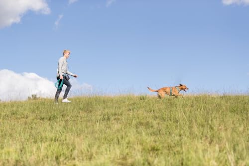 TRIXIE Schleppleine M–XL, 10 m 17 mm in orange - refelktierende Hundeleine für Outdooraktivitäten - für mittelgroße bis sehr große Hunde - 207323