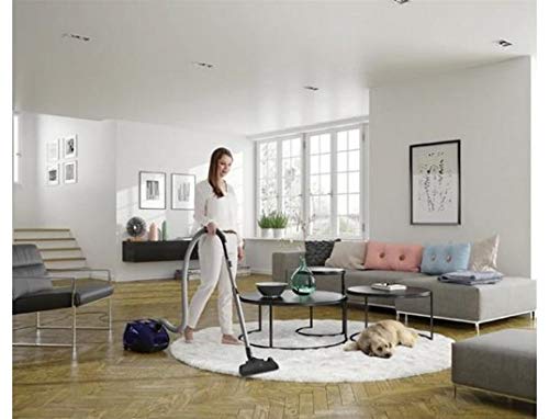 ELECTROLUX Aspirateur traîneau ESP74DB Silent Performer - Image 4