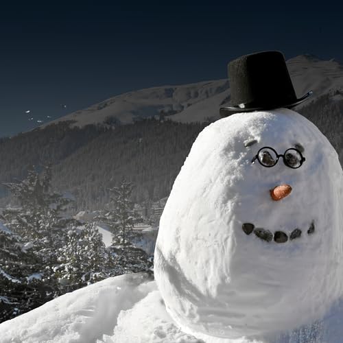 S8 Ep46: Is Davos more than a boondoggle?