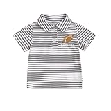 Toddler Baby Boy Lapel Collar Striped Print Polo Shirt Short Sleeve Embroidery T-Shirt Tees Tops Summer Clothes (A-Grey, 2-3 Years)