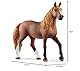SCHLEICH Horse Club 13953 2023 Paso Peruano Stute Pferde Figur - Authentische Pferde Figur mit Realistischen Details - Kreatives Pferde Spielzeug für Jungen und Mädchen ab 5 Jahren