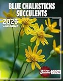 Independently published