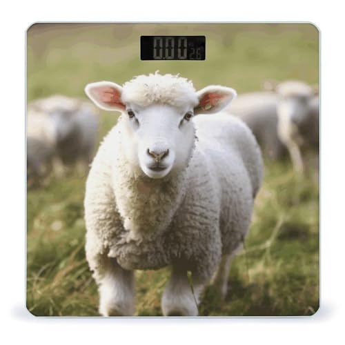 Báscula Digital de Baño con Plataforma de Vidrio Templado miniatura 1