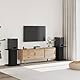 vidaXL Lautsprecherständer 2 STK., Hoher Boxenständer, Lautsprecherpodest für HiFi Heimkino Surround Sound, Verbessertes Audio-Hörerlebnis, Schwarz Holzwerkstoff
