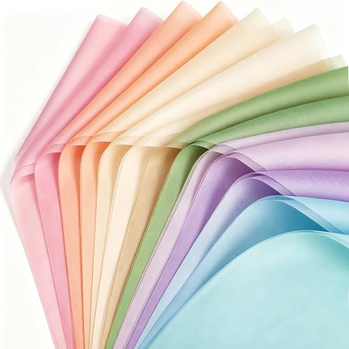 60 Sheets Spring Pastel Color Tissue Paper 14 x 20 Inch Assorted Gift Wrapping Tissue Art Paper for Spring Easter DIY Crafts Baby Shower Birthday Wedding Party Supplies (Color)