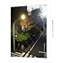 夜明けのすべて(特装限定版 / DVD)