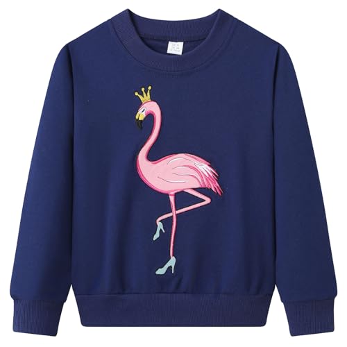 Dinopjs Tanzende Flamingo Mädchen Pullover, Kristallschuhe...