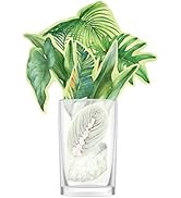 Amazon | ODECO.MART カロリナ酵素プラス 4種の特許成分配合 120粒30日