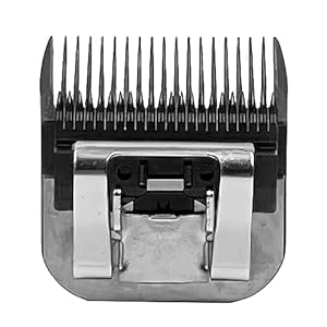 Detachable steel pet dog clipper bladessize 3 34fccompatible with andis cut length 1213mmcompatible with oster a5 wahl km series clippers made of steel blade and stainless steel blade   cucciolini doodles