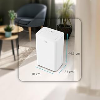 BALTIC 10, Deumidificatore 10L con Ruote, Flusso d'aria 100m³/h, Modalità Lavanderia, Funzione Scongelamento, Controllo Remoto, Indicatore Umidità, Gas R290, Timer 24 ore, 39dB