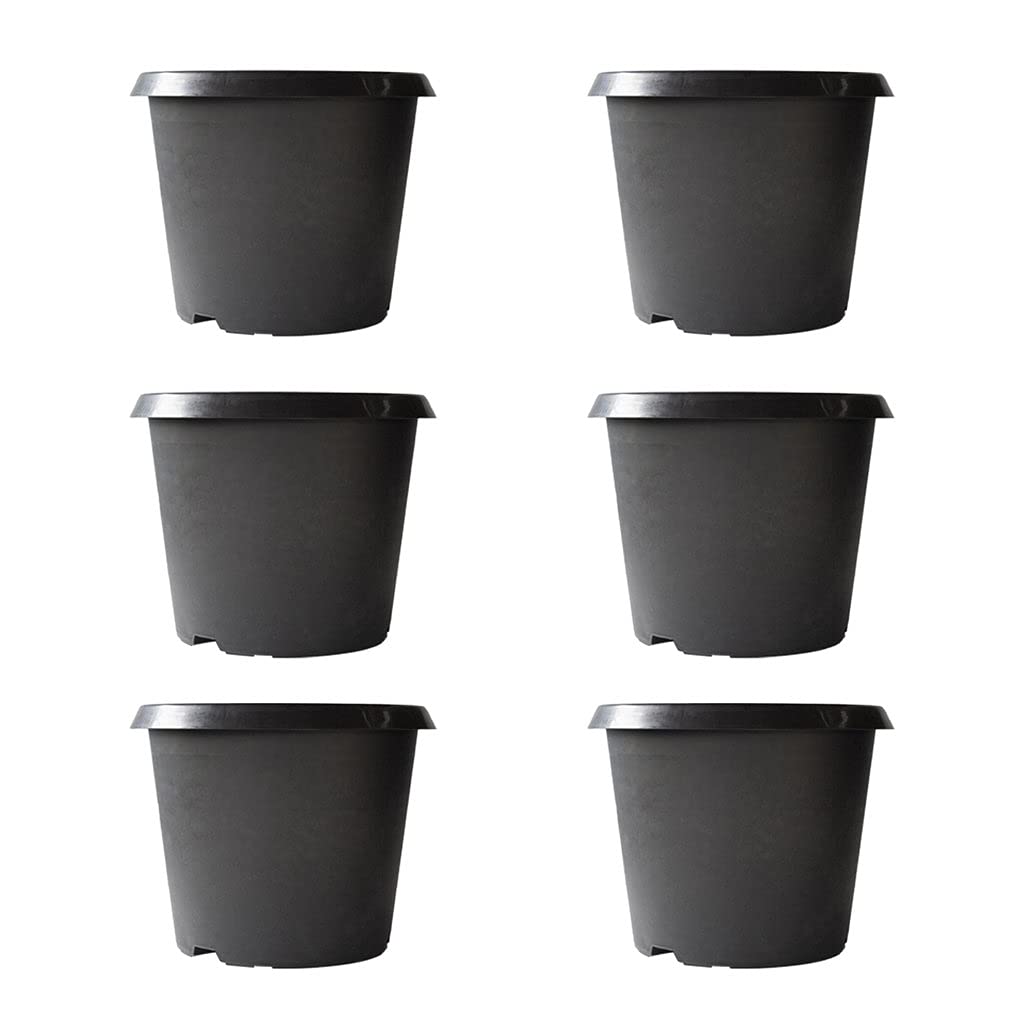TrustBasket Bhuvi Round Plastic Pots 16 (Black) Set of 6 | Heavy Duty Highly Durable Plant Container/Gamla for Indoor Home Decor & Outdoor Balcony Garden (B09CZ9Q4HD) Amazon Price History, Amazon Price Tracker