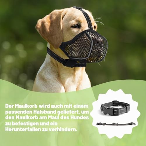 Maulkorb Mittlere/für große Hunde,Fressschutz Hund, Verstellbarer Atmungsaktiver Maulkorb für Haustiere,Anti-Kau-Mundschutz für Hunde,Passendes Hundehalsband(L)