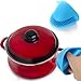 Aketek Silicone Pot Holder, Oven Mini Mitt Set of 2, Cooking Pinch Grips,assorted Colors