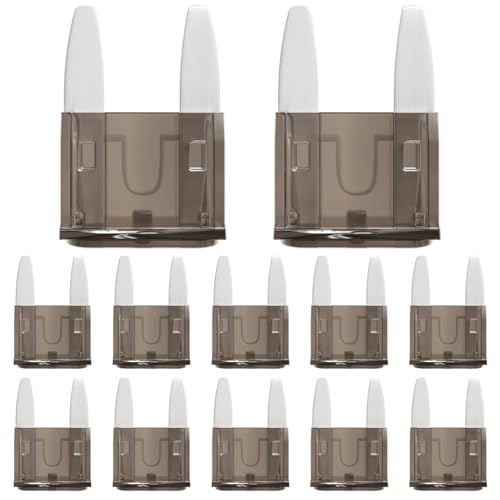 ALLECIN 2A Mini Fuse 2 AMP ATM APM Blade Car Fuses 2Amp Automotive Fusibles for RV Auto Motorcycle Truck (Pack of 50Pcs)