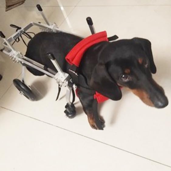 Amazon.co.jp: 犬用車いす小型・中型ペット用犬車いす調節可能な四輪犬