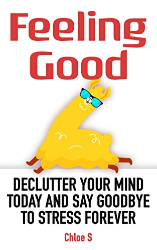 Feeling Good: Declutter Your Mind and Say Goodbye to Stress Forever (Decluttering Life Book 3) (English Edition)