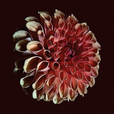 Unfolding