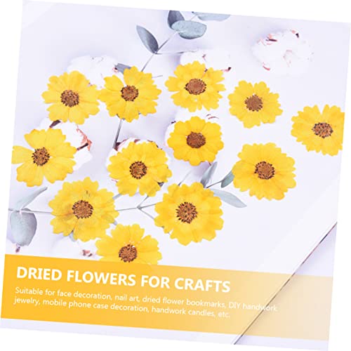 24 unidades de flores secas para manualidades miniatura 5