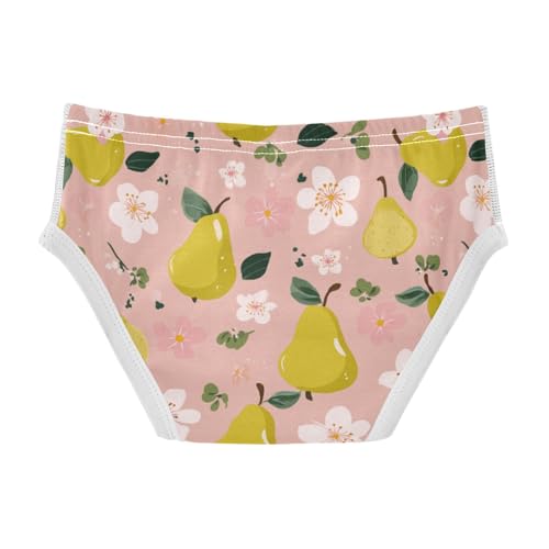 Wusikd Pears Flowers Boys' Underwear Cotton Boys Briefs Soft Toddler Underwear 2T2