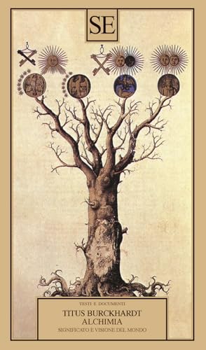 Alchimia. Significato e visione del mondo (Testi e documenti)