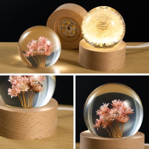 Image of Daisy Lamp,2.4-Inch Flower Crystal Ball Night Light, Real Daisies Inside with Wood Base, Warm Bedroom Glow (Daisy)