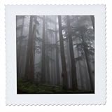 Square dimensions (in inches): 16 L x 16 W, image dimensions (in inches): 14 L x 14 W 100% poloyester; image is soft to touch. Made in USA Edges have pinking shear cut Image will not fade with washing. Image not a transfer, part of material