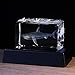 Qianwei 3D Crystals Shark Gifts for Shark Lovers,Shark Decor Glass Figurine Shark Jaw Stuff Birthday for Lovers,Keepsake&Paperweight