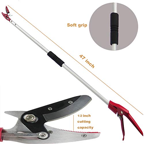Mesoga 4 Feet Cut And Hold Tree Pruner, Rotation Pole Tree Trimming, Long Reach Fruit Picker, Branches Bypass Lopper #TOP1