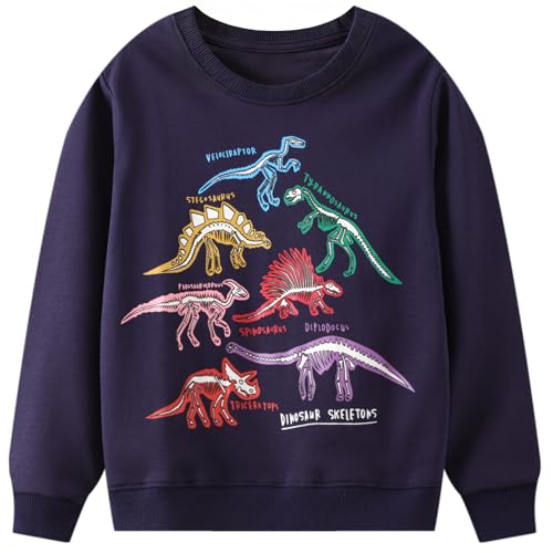 B&G-KID 4T Sweater Boys Dino Shirts for Boys Glow in The Dark Dinosaur Skeletons Blue Toddler Pullover Sweatshirt.