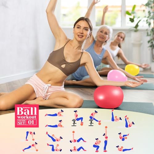 Image of Aoriher 10 Pack 9 Inch Small Pilates Ball Bulk Mini Exercise Ball Portable Non-Slip Workout Yoga Balls with Air Pump for Stability, Barre, Fitness, Balance, Physical &Core, Gym Home Office Use